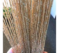 Vagasi 2 Piezas 200x100cm Cortina de Hilo Perlas Cortinas Exterior Terraza Cortinas de Cuentas Cortinas Cocina Cortina Puerta Exterior Puerta Flecos Decoración, Champán