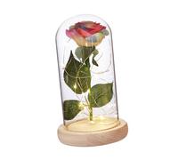 Vaguelly 1 Pieza Adorno De Rosa Rosas Artificiales Presente Hogar Eterno En Conserva para Siempre Decoración Condujo Soltero Encantado San Valentin Rosa Eterna Preservada Vidrio