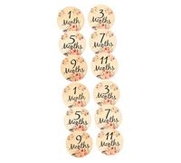 Vaguelly 12 Piezas Tarjeta De Prop Doble Nacimiento Tarjetas De Pastilla Hitos Pegatinas Meses De Accesorios Signos De Producto Bebe Viaje CD Moisés Artículos De Recién