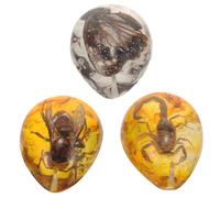 Vaguelly 3 Piezas de Ejemplares de Ámbar Insectos Reales en Resina Pre-perforada para Manualidades y Decoración Científica