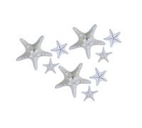 Vaguelly 9 Piezas Decoración De Estrellas De Mar Accesorios Aros De Oro Gruesos Joyado Centros De Mesa De Nido De Abeja Concha Brillantina Neto Real Estrellas De Mar Naturales Beige