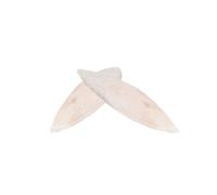 Vaguelly Juguete para Masticar Hueso de Sepia Blanco de 10cm para Loros y Perros, Función de Entrenamiento y Tónico de Calcio para Mascotas