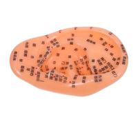 Vaguelly Modelo Anatómico de Oreja para Acupuntura y Masaje, Puntos de Reflexología Auricular Claros, Herramienta de Enseñanza para Medicina Tradicional China