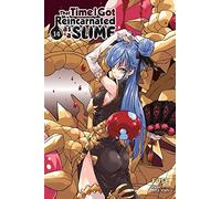 Vah, Mitz - That Time I Got Reincarnated as a Slime, Vol. 14 (light novel): Volume 14 (THAT TIME I REINCARNATED SLIME LIGHT NOVEL SC)