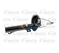 VAICO Amortiguador Eje Izquierda para Ford Focus Daw Dbw Dnw Dfw Familiar