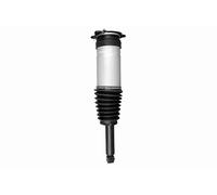 Dirección - Suspensión - Tren > Amortiguadores > Amortiguador