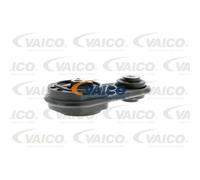 VAICO Cojinetes Trasero para Renault Clio Grandtour KR0/1_ 1.5 DCI Megane II