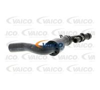 VAICO Manguera De Radiador Compatible Para Audi A3 TT V10-3912