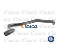 VAICO Manguera De Radiador V10-4650 Compatible Para VW Transporter IV Bus