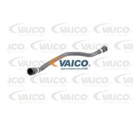 VAICO Manguera Enfriador Izquierda Inferior para BMW 3er Cabriolet V20-0896