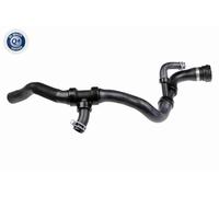 VAICO Manguera Enfriador Tubo Admisión para Volvo V70 III Bw 135 S80 II