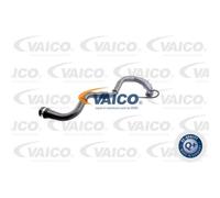 VAICO Manguera para Renault Kangoo KC0/1_ 1.5 DCI Megane II Familiar KM0/1_