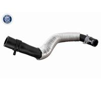 VAICO Manguito, intercambiador calor - calefacción para FORD: Connect (Ref: V25-1229)