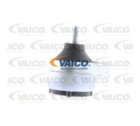 VAICO Soporte De Motor Derecho Para Ford Focus Turnier DNW 1.6 16V 1.8 DAW DBW