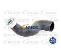 VAICO V10-3825 Tubo flexible de aire de sobrealimentación