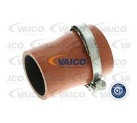 VAICO Tubo Admisión Apto para Ford Kuga II DM2 2.0 TDCI 4x4 WA6 V25-1035