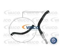 VAICO Manguito de turbocompresor para FORD: Transit/Tourneo (Ref: V25-1045)