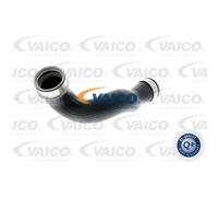 VAICO Tubo Admisión Apto para Mercedes-Benz Clase C W203 S203 V30-1780