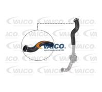 VAICO Tubo Admisión Apto para Renault Kangoo/Grand KW0/1_ 1.5 DCI FW0/1