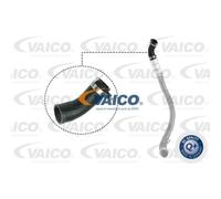 VAICO Tubo Admisión Manguera Presión para Ford Transit Bus V25-1037 a Estrenar