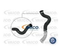 VAICO Tubo Admisión Manguera Presión para Ford Transit Bus V25-1047 a Estrenar