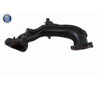 VAICO Tubo Admisión Manguera Turbo para Ford Fiesta VI Transit Connect V408
