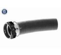 VAICO Tubo Admisión Manguera Turbo para Renault Trafic II Caja 2.0 DCI 115