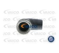VAICO Tubo Admisión para Audi A4 Avant 8E5 B6 1.9Tdi 8E2 VW Passat