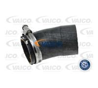 VAICO Manguito de turbocompresor para AUDI: TT, A3, Q3 & VOLKSWAGEN: Golf Cabriolet, Tiguan, Eos, Golf, Jetta, Caddy, New Beetle (Ref: V10-4382)