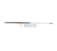 VAICO V10-2071 Muelle neumático, capó de motor