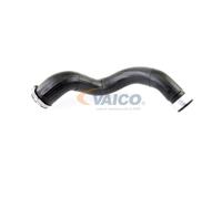 VAICO V10-2879 Tubo flexible de aire de sobrealimentación