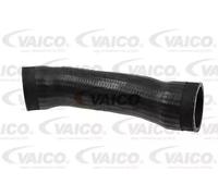 Piezas de motor > Turbocompresor > Manguito de turbocompresor