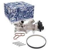 VAICO Bomba de agua + kit correa distribución para SKODA: Superb, Karoq, Fabia, Octavia, Scala, Kodiaq, Kamiq & SEAT: Ateca, Ibiza (Ref: V10-50114)