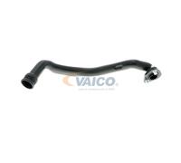 VAICO V10-9766 Manguito, ventilación culata