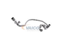 VAICO V20-1304 Tubería de radiador