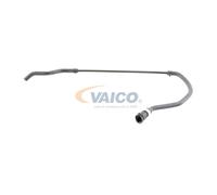 VAICO V20-1312 Tubería de radiador