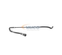 VAICO V20-1313 Tubería de radiador