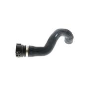 VAICO V20-1774 Tubería de radiador