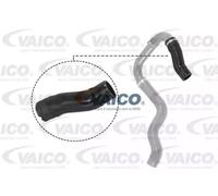 VAICO V24-0732 Tubo flexible de aire de sobrealimentación