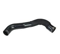 VAICO Manguito de turbocompresor para FIAT: Ducato (Ref: V24-0739)