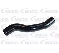 VAICO Manguito de turbocompresor para FORD: Focus, Fusion, C-Max & VOLVO: V50, S40, C30 (Ref: V25-0952)