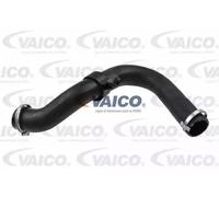 VAICO V25-1021 Tubo flexible de aire de sobrealimentación