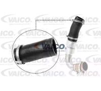 Tubo de aire Caucho con refuerzo textil V25-1036 VAICO para FORD MONDEO IV S-MAX