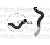 VAICO V25-1047 Tubo flexible de aire de sobrealimentación