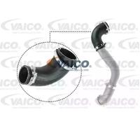 VAICO V25-1050 Tubo flexible de aire de sobrealimentación