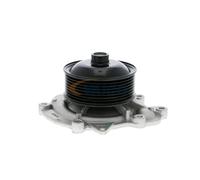 VAICO V30-50060 Bomba de agua