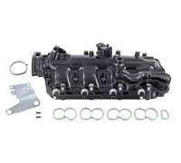VAICO V40-1650 Modulo colector de admision (0849245)
