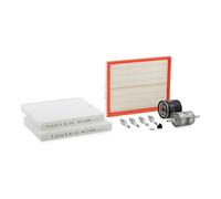 VAICO Kit de piezas, revisión para VOLKSWAGEN: Polo, New Beetle, Golf, Jetta, Lupo, UP, Fox, Caddy, Sharan, Bora & SEAT: Mii, Leon (Ref: V60-3004)