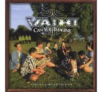 Vaihi - Can You Imagine
