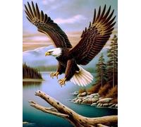 VAIIEYO DIY Diamond Painting águila, Diamond Painting Kit Completo Animal, 5D Pintura Diamante, Diamante de Bordado Manualidades para decoración 30X40cm-22